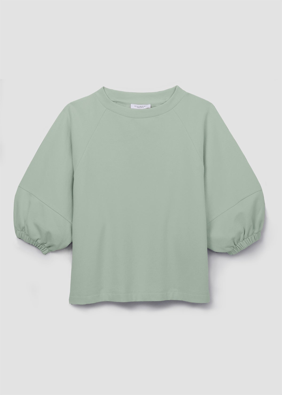 Helios Organic Cotton Felpe Sweatshirt in Pistachio