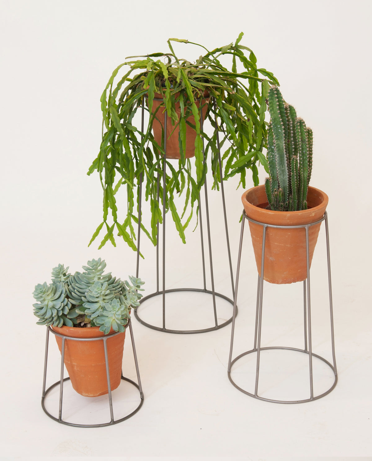 Chrome Plant Stand | Beaumont Organic